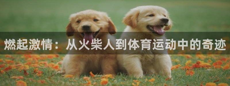 杏悦22登录