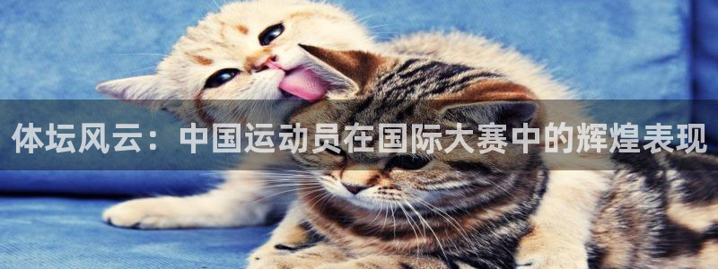 杏悦22代理注册