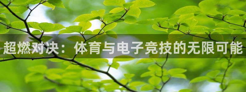 杏悦2体育3