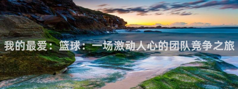 杏悦2代理注册官网入口