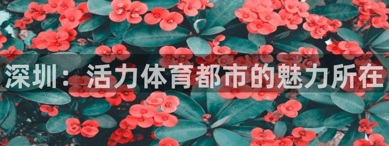 杏悦2登录注册