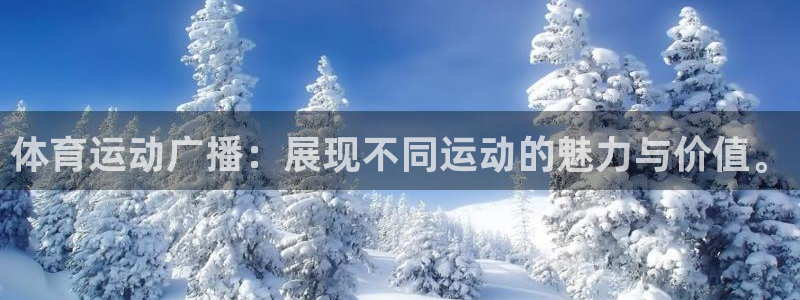 杏悦2体育游戏
