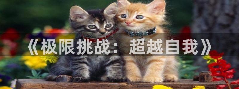 杏悦2代理注册入口
