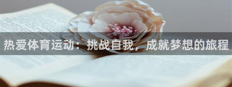 杏悦2体育凯捷平台注册