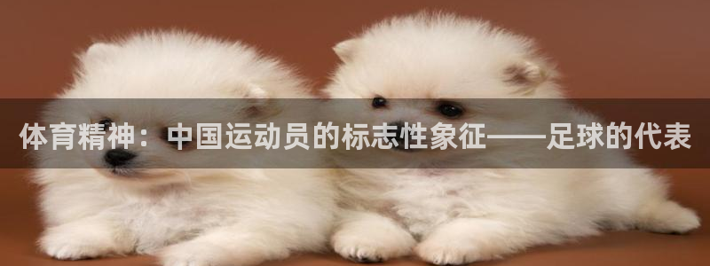 上海杏悦2汽车电子有限公司