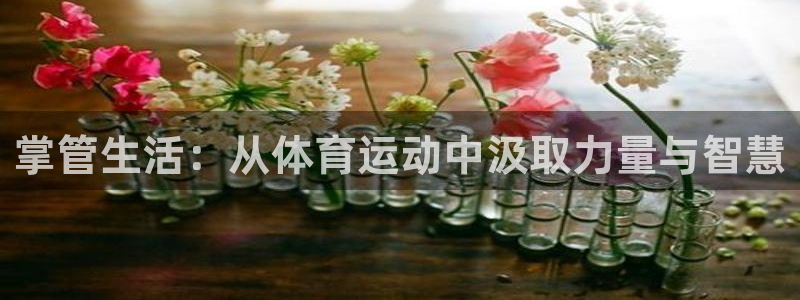 杏悦22登录