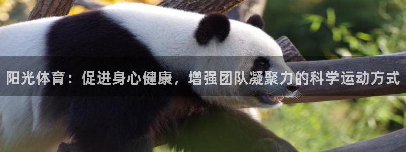 杏悦2代理注册入口