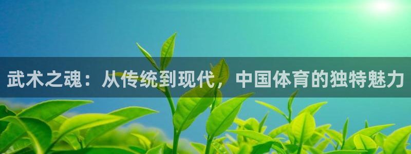 杏悦2体育官网登录