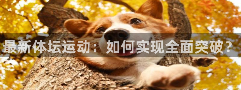 杏悦2体育注册登录入口