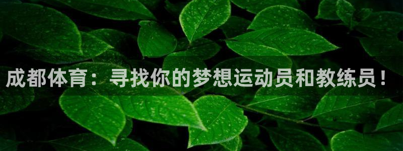 杏悦2平台