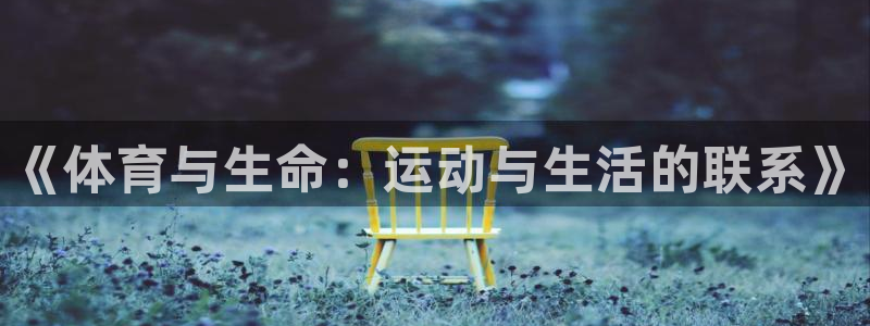 杏悦2代理注册