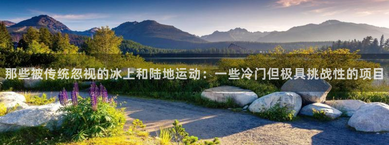 杏悦24官网
