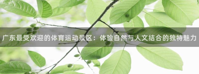 杏悦2平台注册开户
