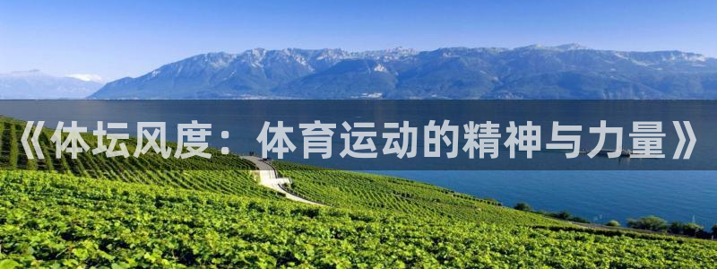 杏悦2集团官网
