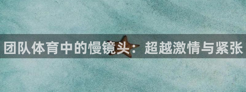 杏悦2体育和杏耀是哪个公司的