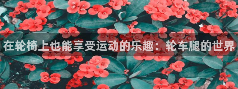 杏悦2体育热门赛事有哪些