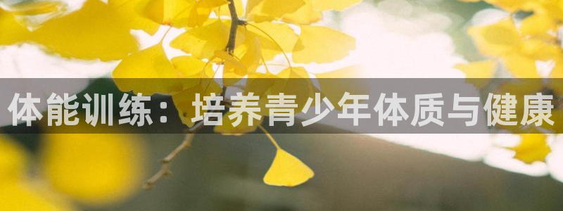 杏悦24平台注册