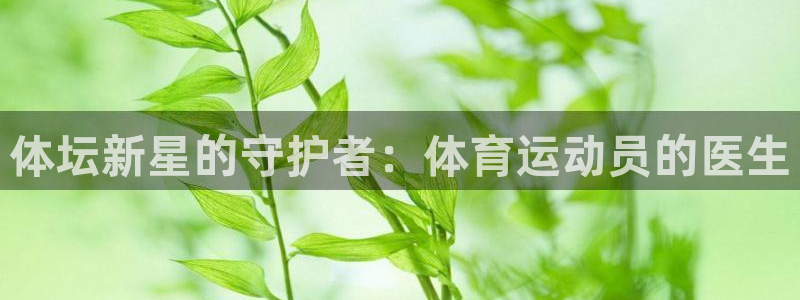 杏悦2体育代理申请流程