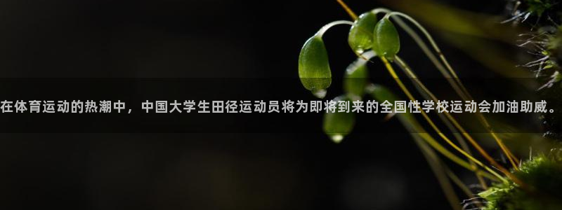 杏悦2平台注册开户